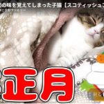 キャプチャ
