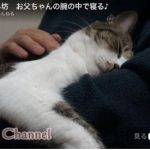 キャプチャ