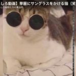 キャプチャ